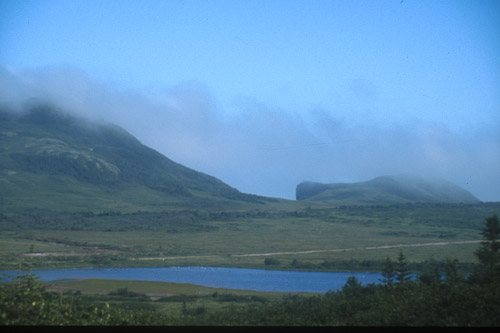 Clouds and a teeny bit of fog (By Doug Pincock)