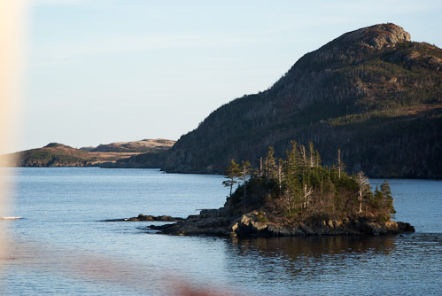Rabbit Island at high tide (by Andrew Spearns)