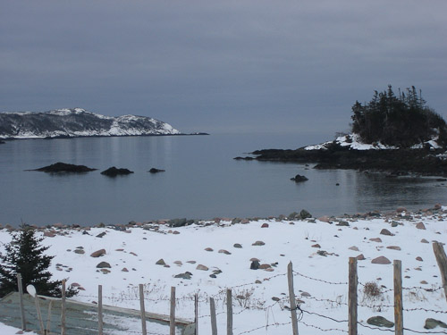 Spearns' head and Rabbit Island bathed in snow (By Marilyn Pincock)