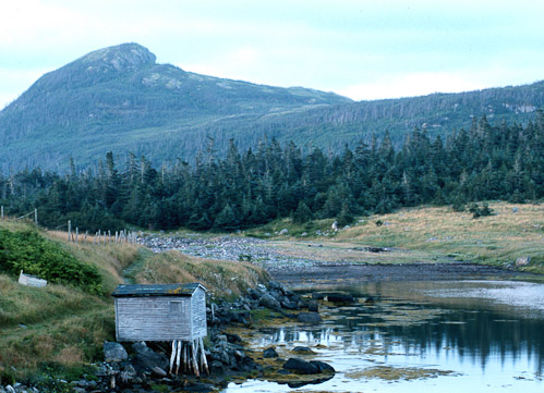 Back Cove view (by Doug Pincock)