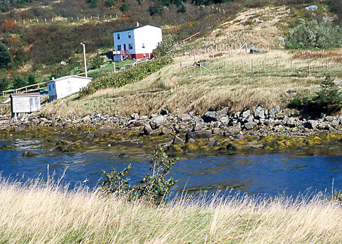 Mrs. Doll's house in late summer (By Doug Pincock)
