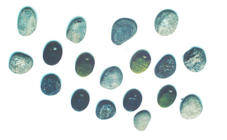 <B>Transponding Rocks</B><BR>Designed at UNB for sedimentation studies in Lake Ontario by Canadian Centre for Inland Waters.