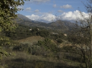 View from a terrace in the centre of Corte