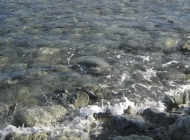 The shoreline is easily accessible. I dipped my hands in here, while walking along the beach.