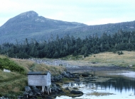 Back Cove view (by Doug Pincock)