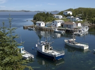 Upper Harbour