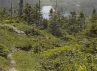 On the Path from South East Byte to Little Paradise